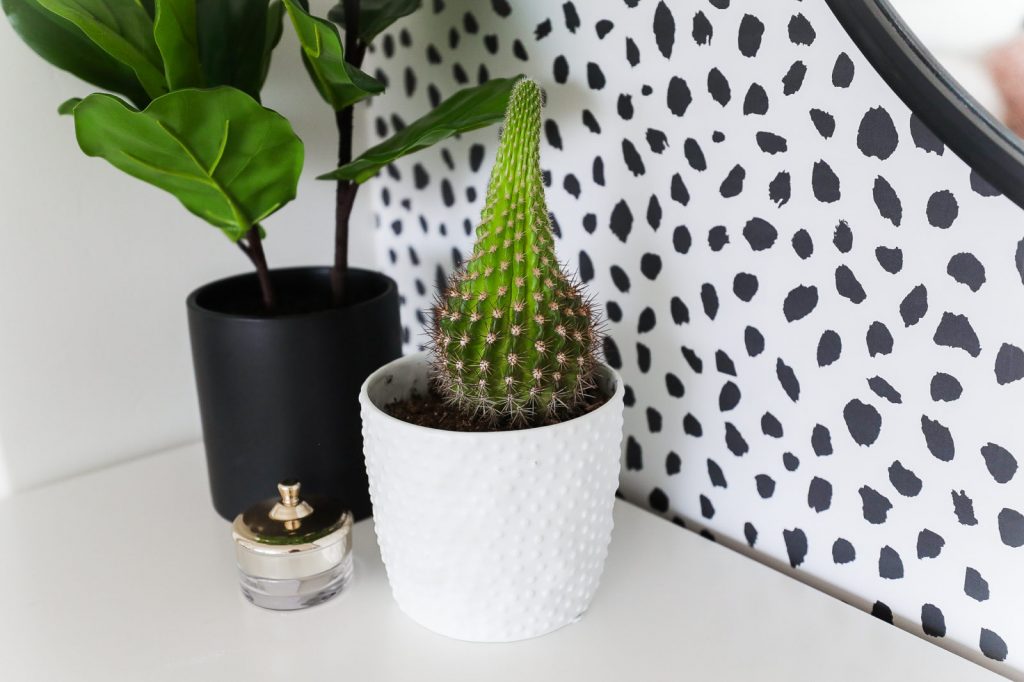 Botanische slaapkamer van lifestyle blogger en vlogger Aspyn Ovard Botanische slaapkamer van lifestyle blogger en vlogger Aspyn Ovard