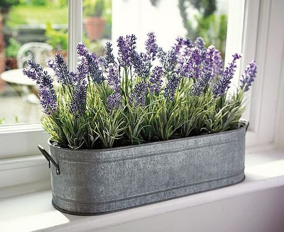 Lavendel slaapkamer Lavendel slaapkamer